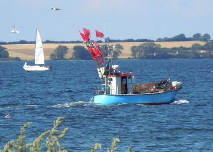 Früh geht's hinaus für die Fischer - bei Wind und Wetter