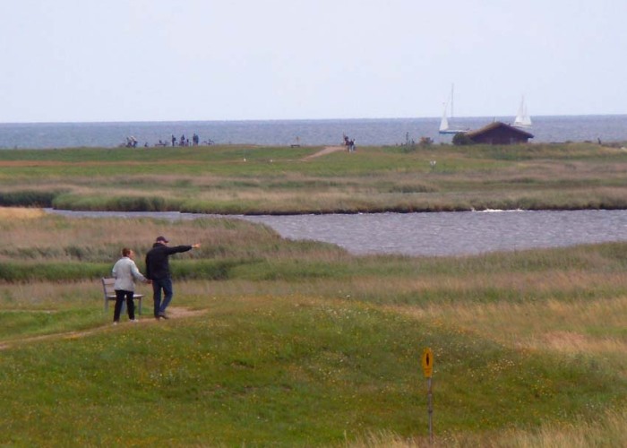 Wandern Sie über die Deiche und Ufer der Schlei und entdecken Sie seine Fauna