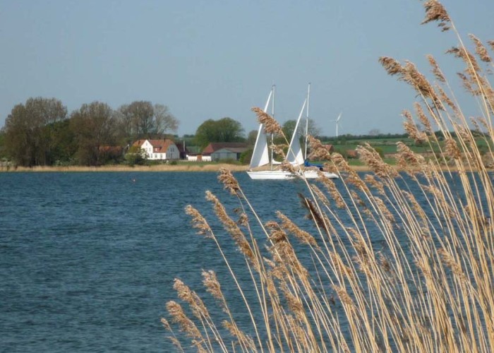 Gelbes Feld vor blauer See - malerische Szenen an der Schlei.