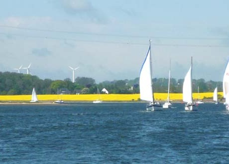 Segler schmücken die malerischen Landschaften der Schlei