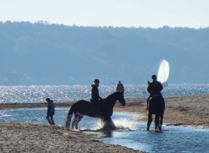 Reiten am Strand